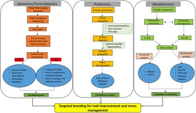 Toward Integrated Multi-Omics Intervention: Rice Trait Improvement and Stress Management